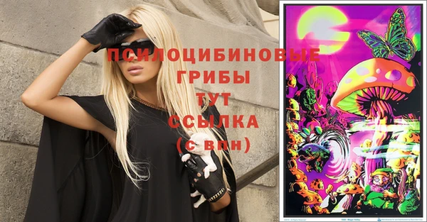 ГАЛЛЮЦИНОГЕННЫЕ ГРИБЫ Баксан