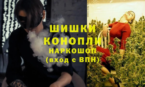 твердый Балахна