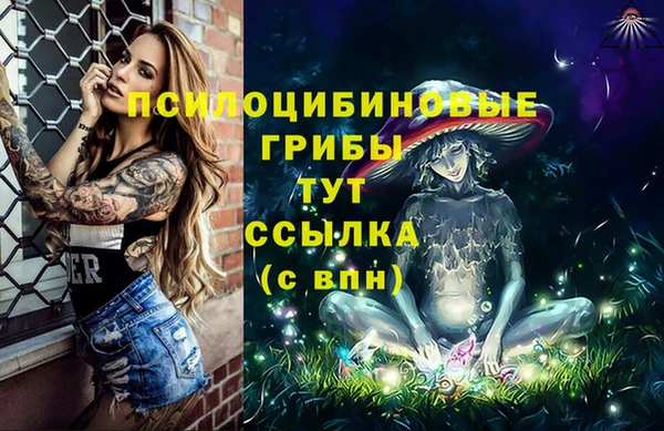 твердый Балахна