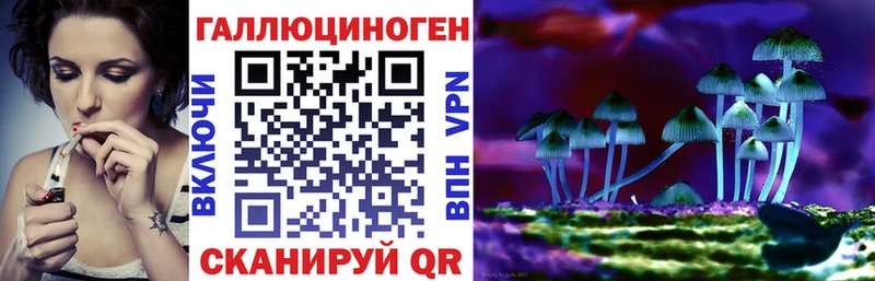 Псилоцибиновые грибы мицелий  закладки  Каспийск 